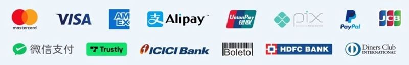 Logos for Mastercard, Visa, American Express, Alipay, Union Pay, Pix, paypal, JCB, Trustly, WeChat Pay, ICICI Bank, Boletol, HDFC Bank, Diners Club International