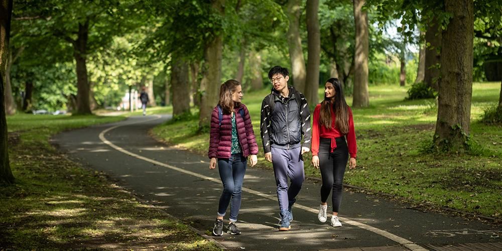 Three students walking on a tree-lined path in Woodhouse