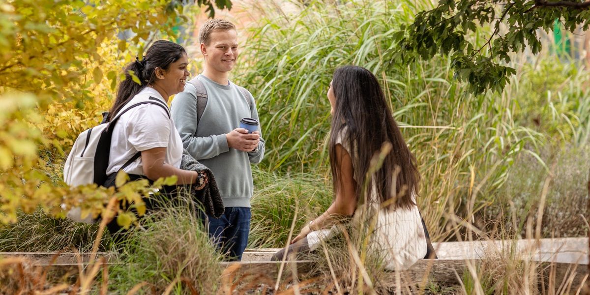 Three students outside on campus in serene green space, chatting. One has a coffee.