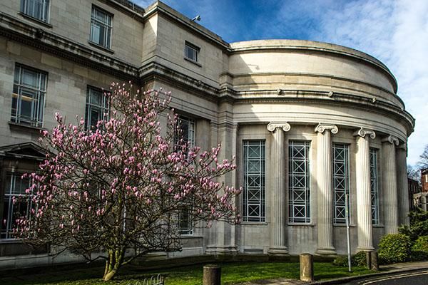 A tree with pink leaves outside the Chemistry Building