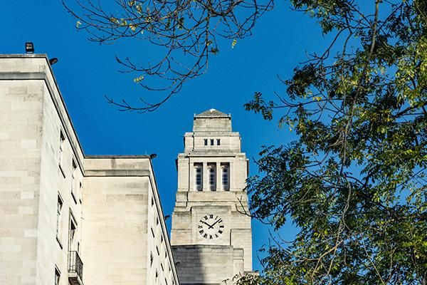 Parkinson Building clock tower and tree with green leaves against a blue sky