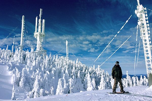 Someone is stood on a snowboard, atop a thick sheet of snow, with snowy trees and powerlines behind. The sky is striking blue against the white of the snow.