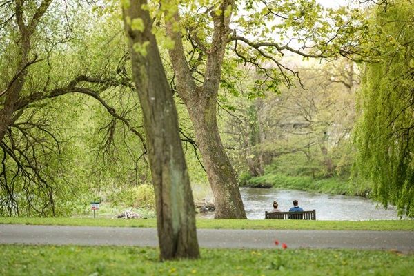 Two people in the distance, sat on a bench within a leafy park setting in springtime.