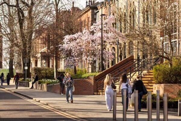 Students walk past trees, a blossom tree and campus red brick buildings in the spring sunshine. The sun is casting shadows on the pavement and road.