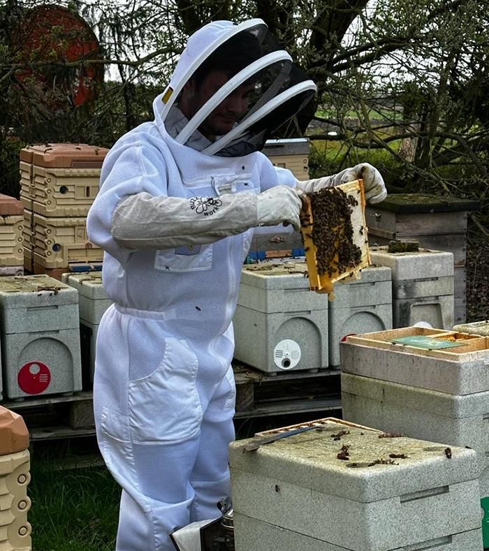 Student Harry Simpson in a bee keeping outfit holding part of a hive with bees on it