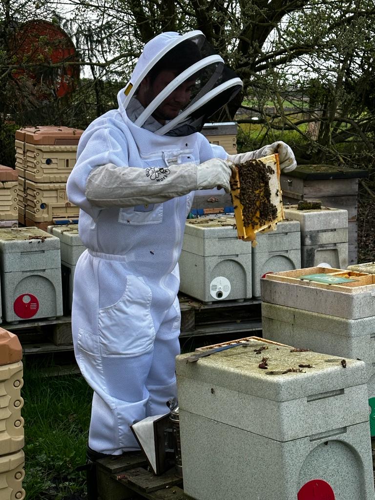 Harry with his bees