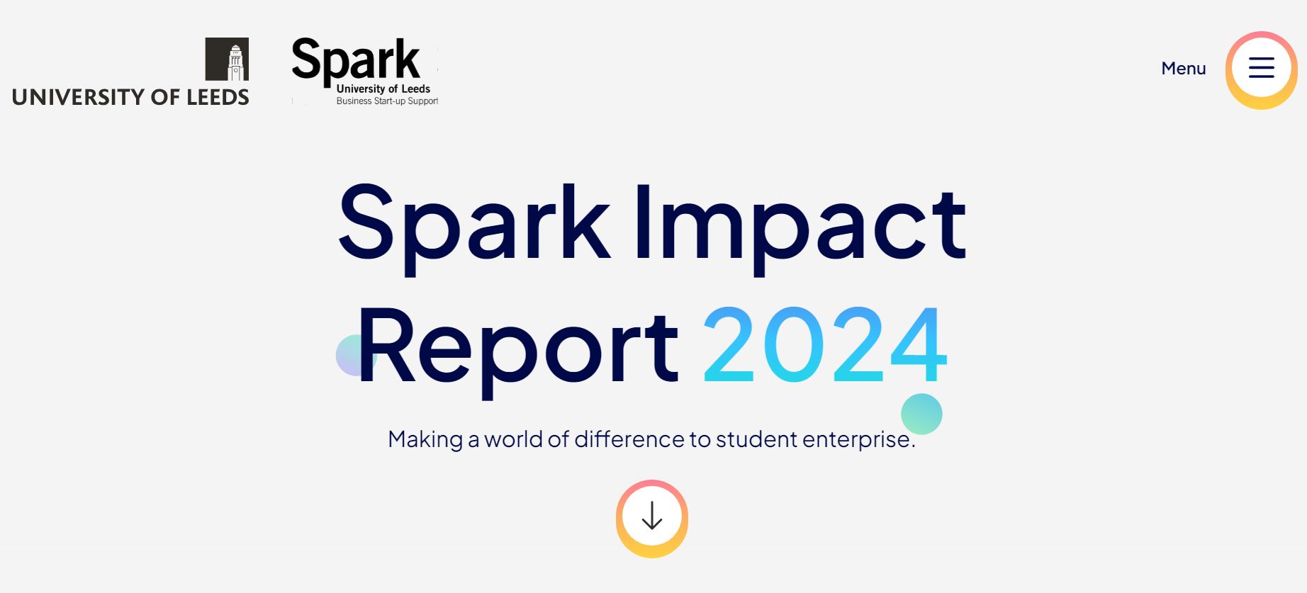 Impact Report 2024