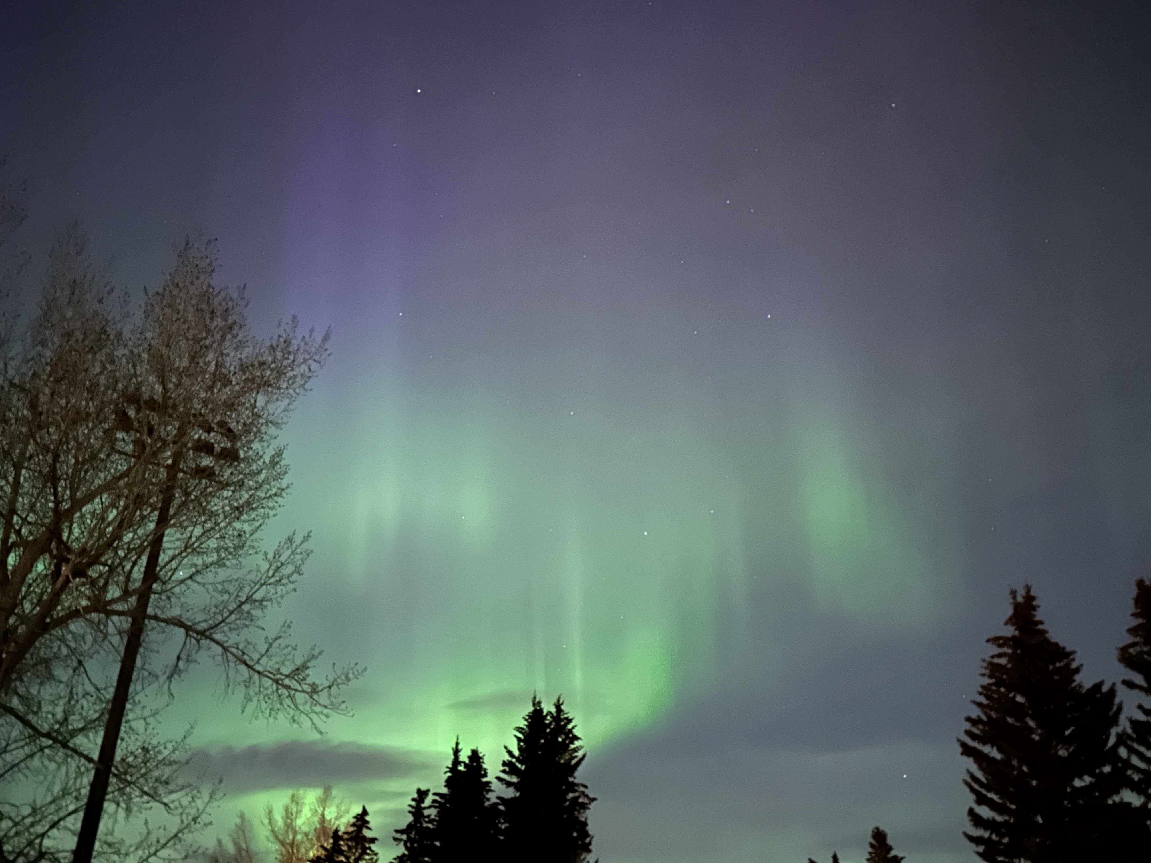 Northern Lights seen from Calgary's campus.